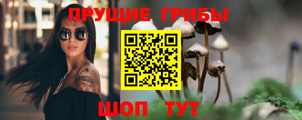 Псилоцибиновые грибы Psilocybine cubensis  Вход с VPN  Красный Сулин 